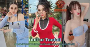 ต้นฝ้าย Tonfaii vk